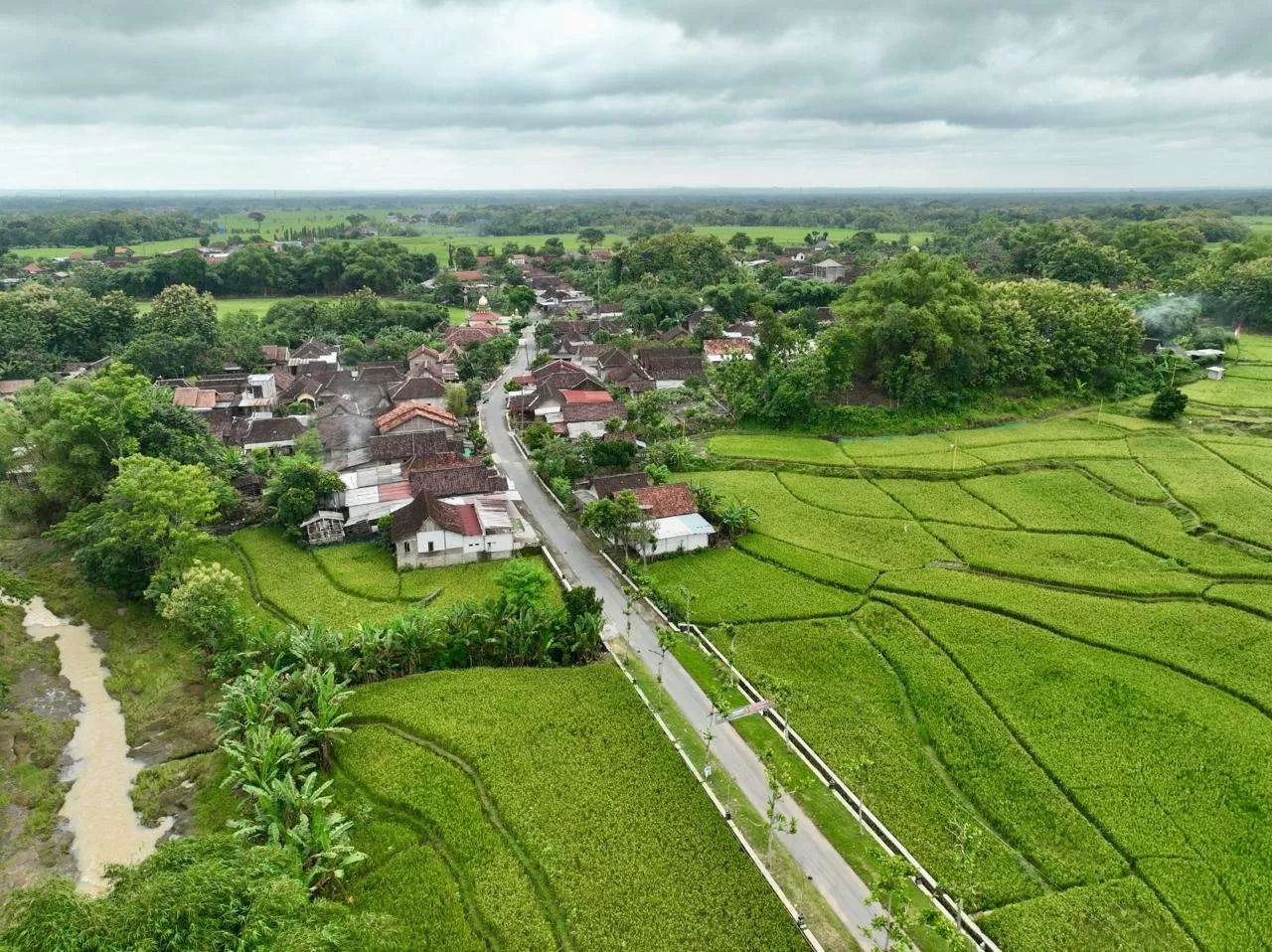 Kaliwedi Sragen, Potret Sukses Transformasi Desa Tertinggal Menjadi Desa Mandiri. (KlikSoloNews/dok)
