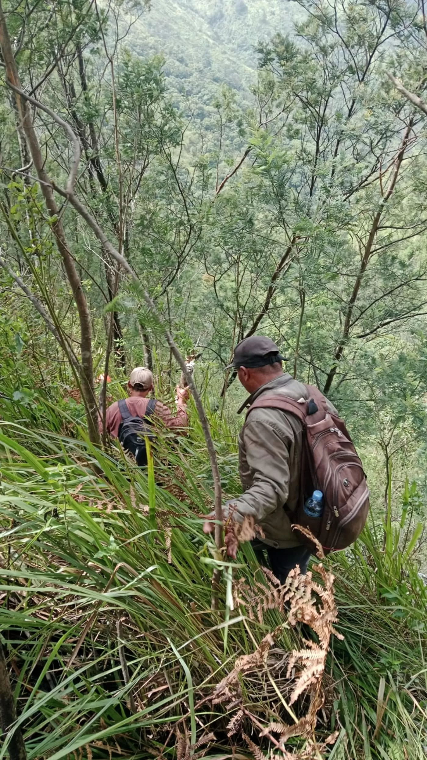  UPDATE Pendaki Hilang di Bukit Mongkrang: Pencarian Yasid Diperpanjang Tiga Hari. (KlikSoloNews/dok)