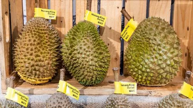 Harga Durian Musang King di Malaysia Anjlok ke Titik Terendah dalam 10 Tahun. (KlikSoloNews/dok)