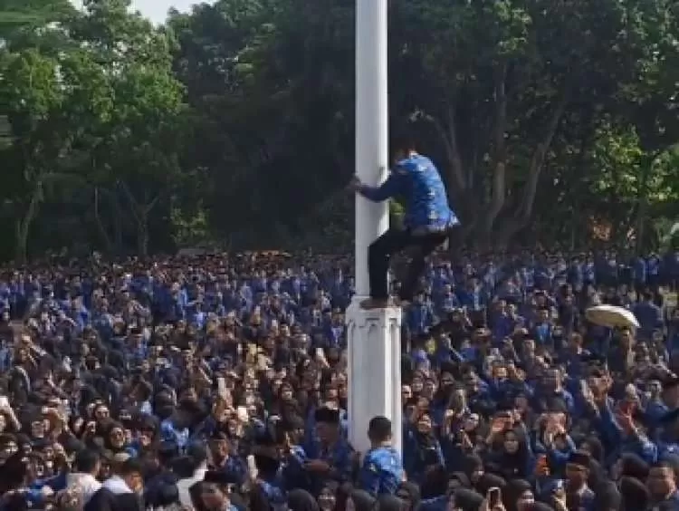 Viral! Pegawai PPPK Paruh Waktu Soppeng Panjat Tiang Bendera Sambil Goyang Tabola Bale. (KlikSoloNews/dok)
