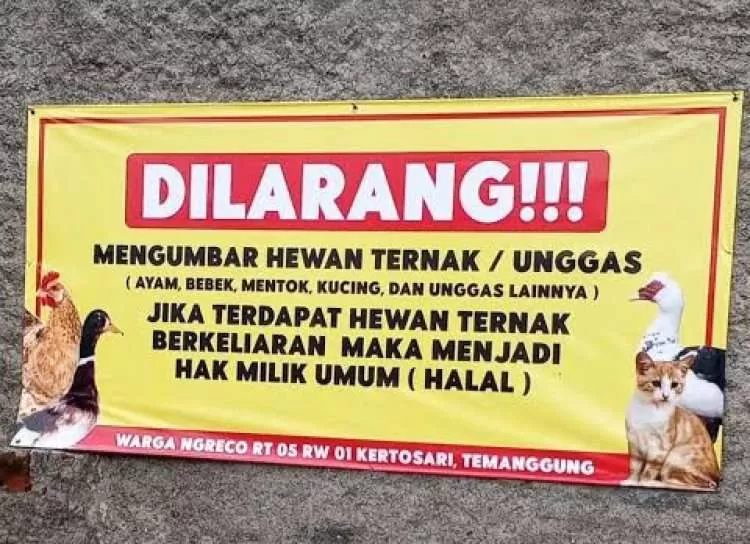 Warga Ngreco Temanggung Terapkan Aturan Unik, Unggas Lepas Bisa Jadi Milik Umum. (KlikSoloNews/dok)