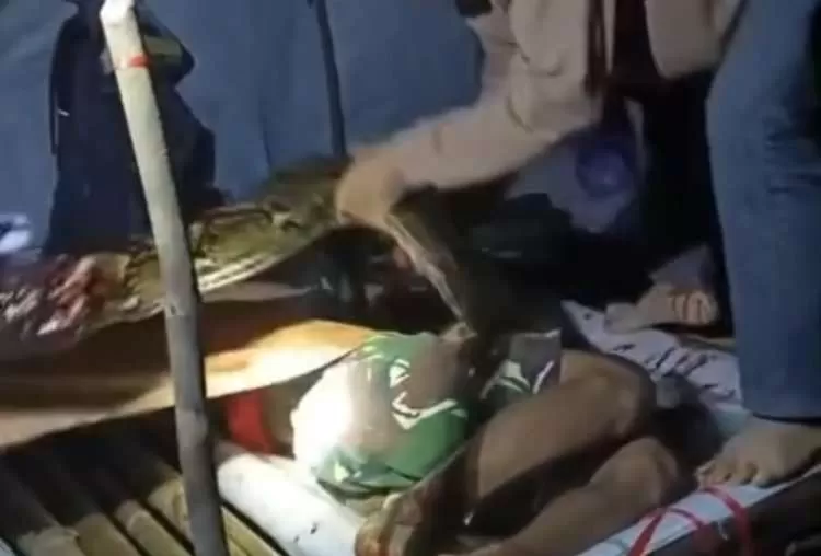 NGERI! Pekerja Bor Nyaris Tewas Dimangsa Ular Piton 6 Meter saat Tidur di Hutan Konawe Utara. (KlikSoloNews/dok)