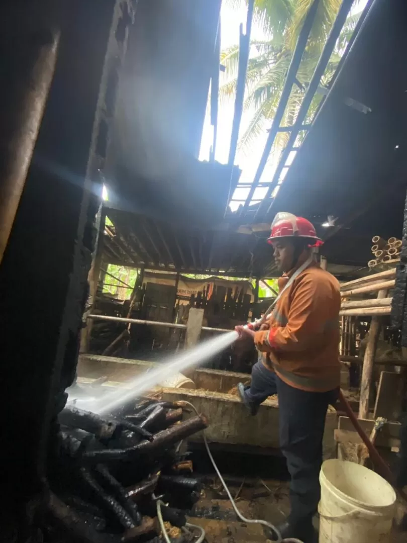 Kandang Sapi di Jumantono Karanganyar Nyaris Ludes Terbakar, Diduga Akibat Bakar Sampah. (KlikSoloNews/dok)