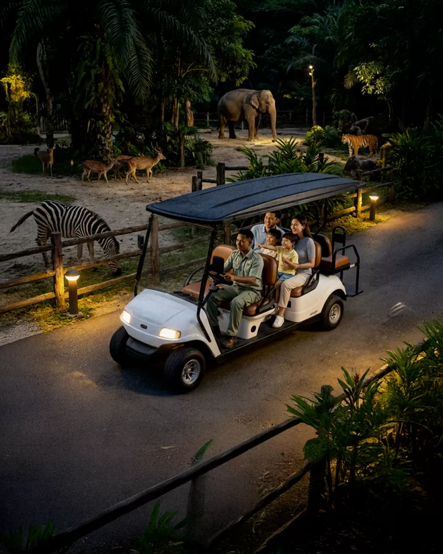 Safari Night Adventure, Pengalaman Baru Jelajah Satwa di Malam Hari Pertama di Jawa Tengah (Kliksolonews/dok)