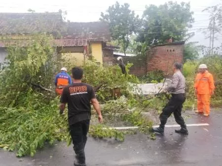 Hujan Deras Disertai Angin Kencang Terjang Kebakkramat Karanganyar, Sejumlah Pohon Tumbang. (KlikSoloNews/dok HarianKota)