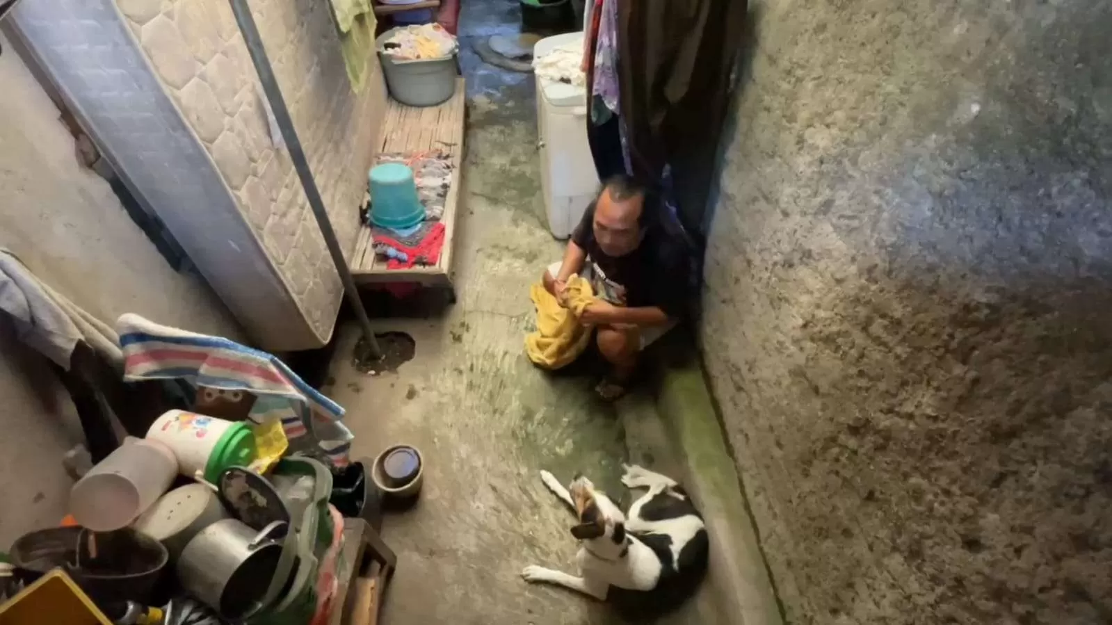 Dramatis! Anjing Peliharaan Mengamuk di Sragen, Tiga Orang Digigit, Petugas Damkar Ikut Jadi Korban. (KlikSolonews/dok)