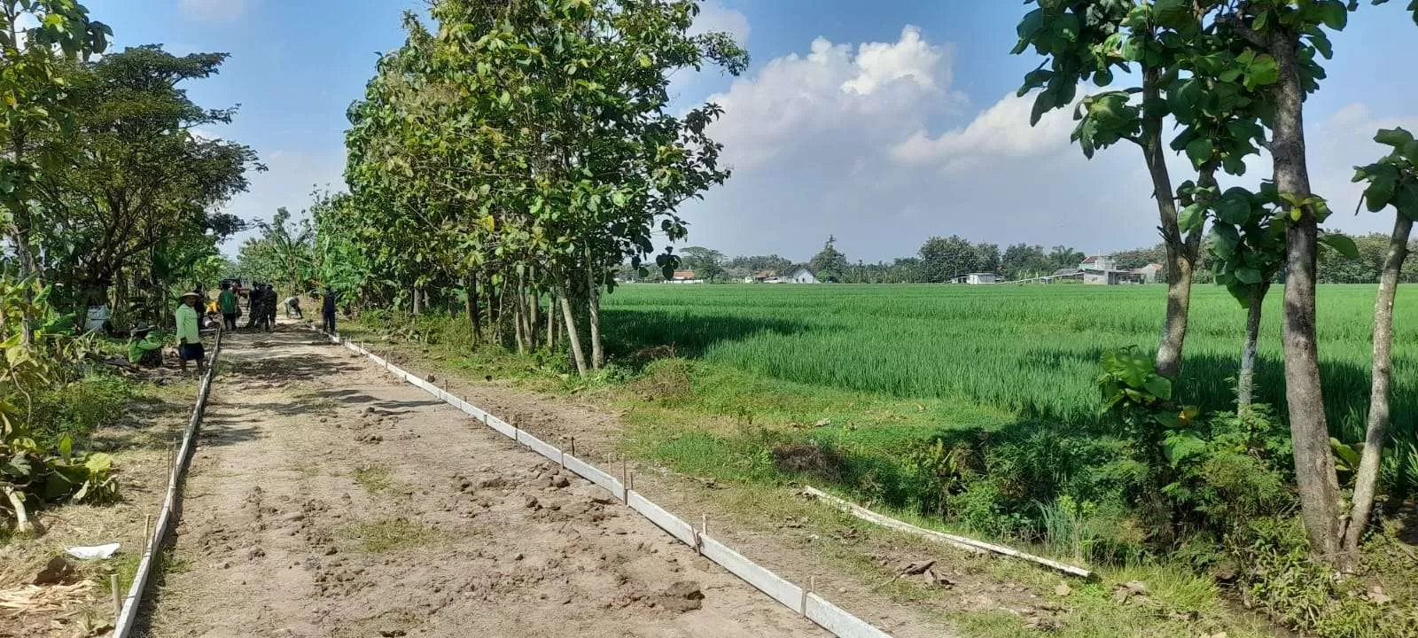 TMMD Sragen Buka Akses Pertanian, Pendapatan Petani Padi Desa Puro Diproyeksi Naik. (KlikSoloNews/dok)