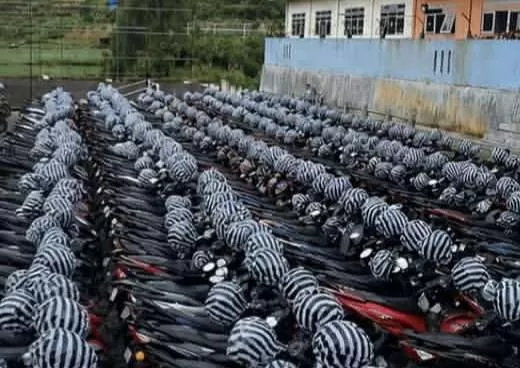 Bikin Takjub! Ribuan Motor Pendaki Gunung Prau Parkir Super Rapi, Helm Dibungkus Plastik Tuai Pujian. (KlikSoloNews/dok)