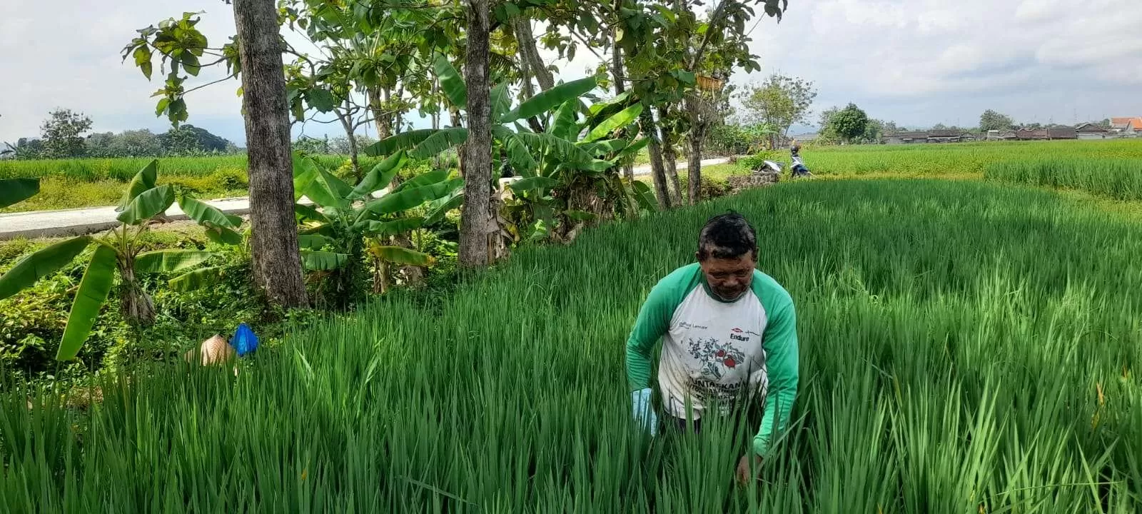 Jalan Mulus TMMD Sragen Bantu Petani Hemat Biaya, Warga Rasakan Manfaat Langsung. (KlikSoloNws/dok)