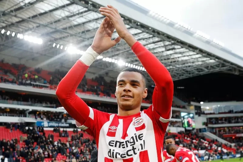 Cody Gakpo semasa berkostum PSV Eindhoven. (Foto: ed nl)