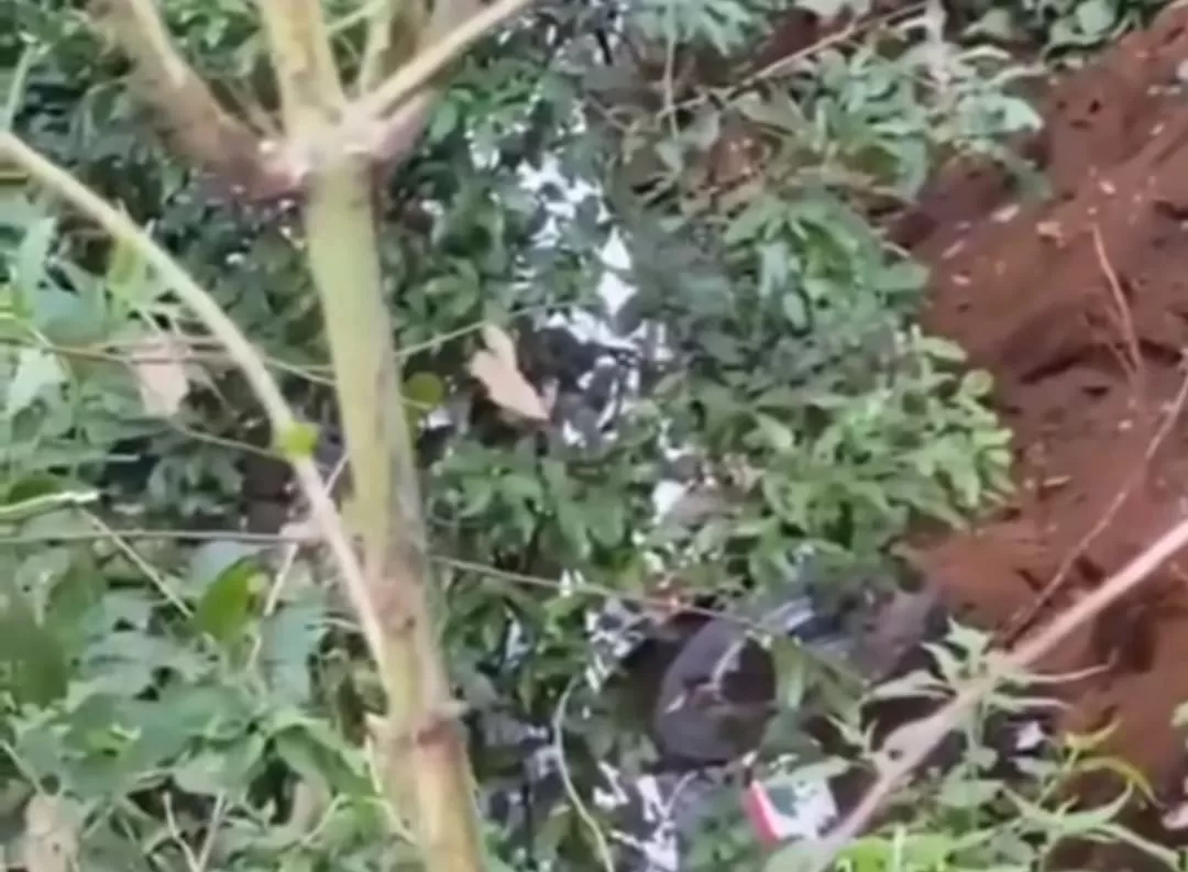 Bus Pariwisata masuk jurang di kawasan Telaga Sarangan, Kecamatan Plaosan, Kabupaten Magetan, Jawa Timur (Dok tangkapan layar)