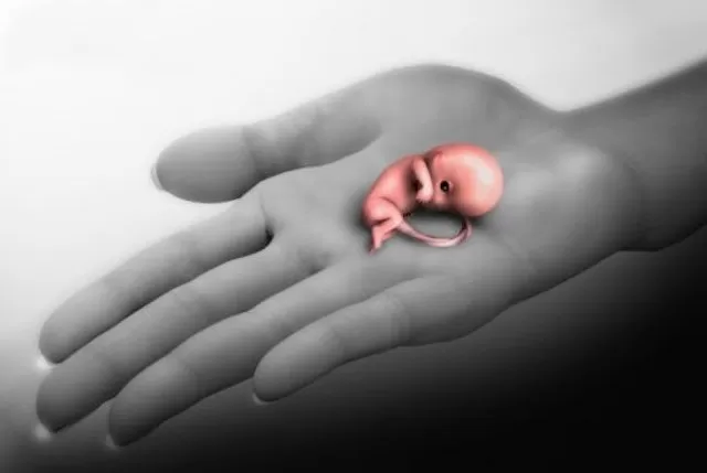 Aborsi di Kemayoran hanya 10 menit dengan alat tak steril (Dok Pixabay)