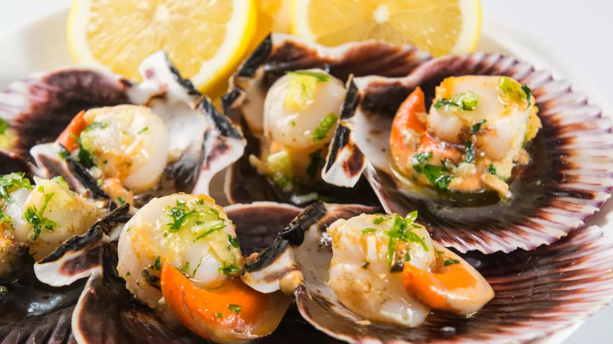 Khasiat Scallop Sebagai Menu Diet Sehat (Foto: canva)