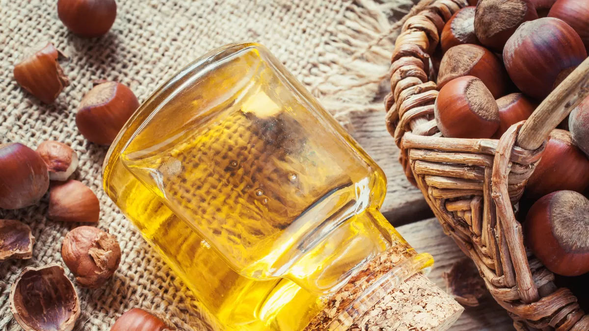 Manfaat Minyak Kemiri Untuk Rambut (Foto: canva)