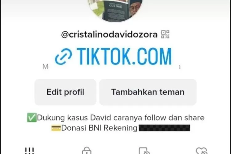 Akun palsu galang dana untuk David (Dok tangkapan layar)