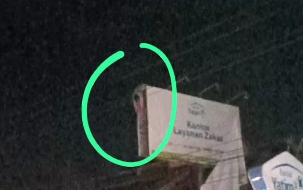 Video viral orang terjatuh dari baliho dekat McD Godean Yogyakarta (tangkapan layar)