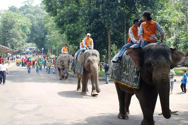 Jadwal buka Taman Margasatwa Ragunan selama libur Idul Fitri 2023 berikut harga tiketnya. (Foto: ragunanzoo. jakarta.go.id)