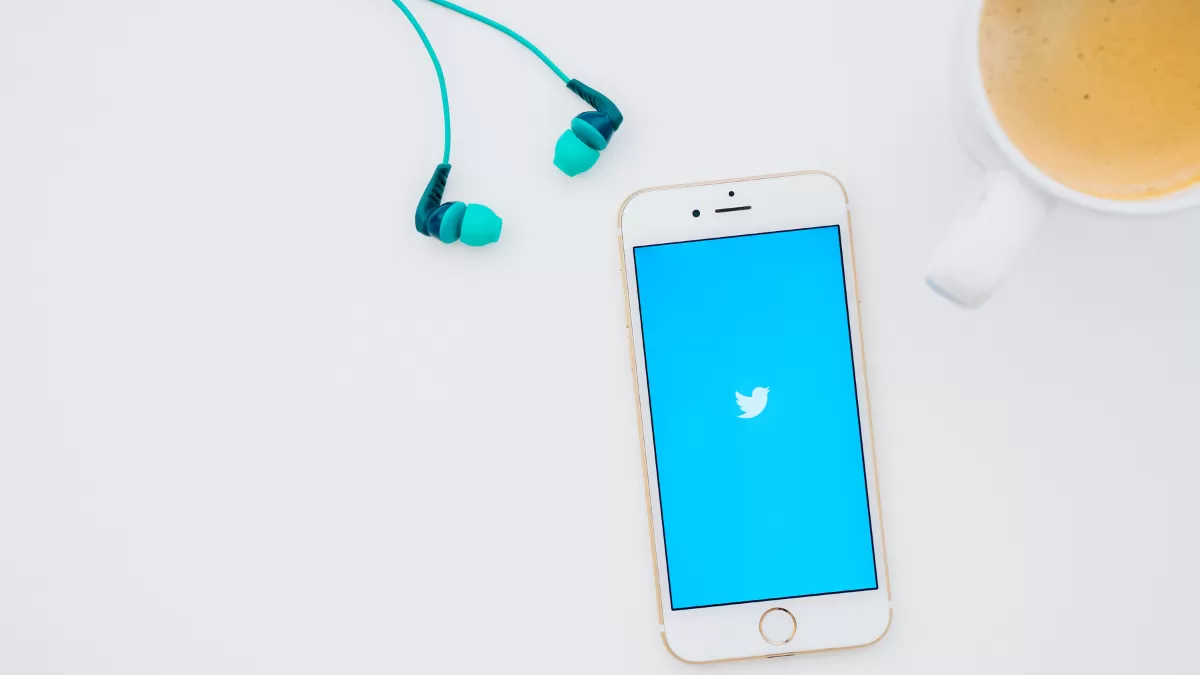 Voice Note di DM Twitter (Foto: canva - Petra Malaeru's)