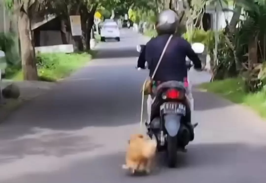 Video viral seekor anjing diseret pemotor, diduga terjadi di Bali (Dok tangkapan layar)