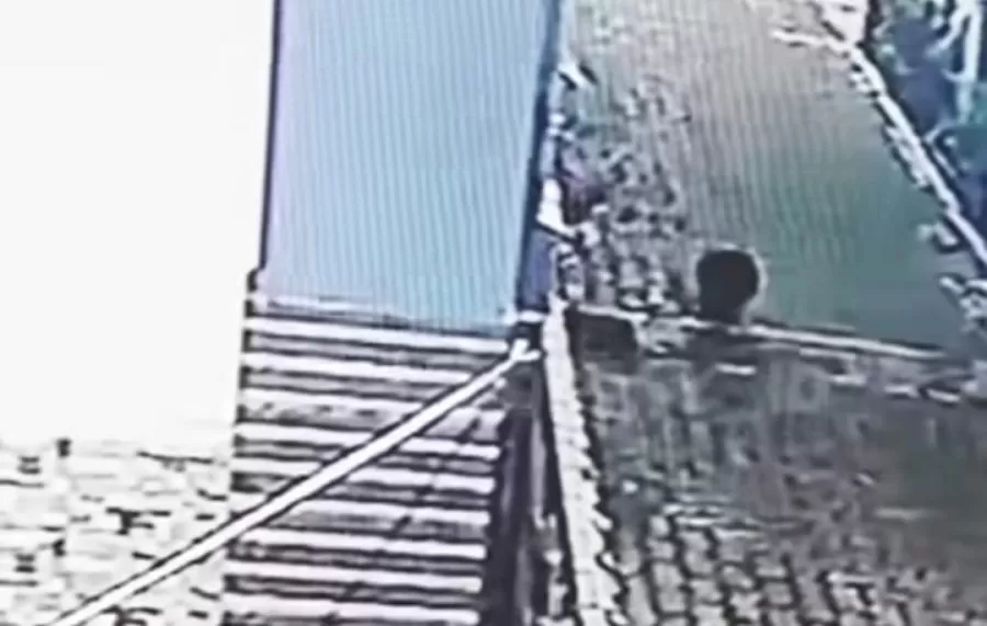 Seekor babi yang berkeliaran tengah malam terekam CCTV membuat geger warga Kota Depok (Dok tangkapan layar)