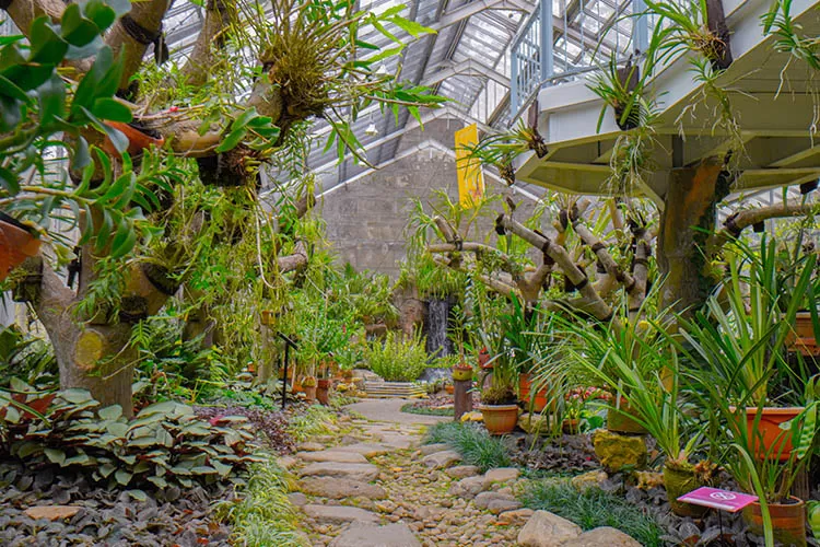 Pekan Seni Botani di Bogor. (Website Kebun Raya Bogor)