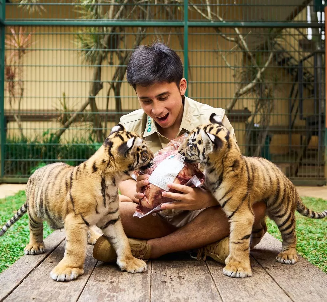 WWF Indonesia protes Alshad Achmad pelihara harimau bengal. (Instagram/alshadahmad) 