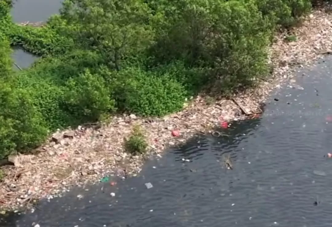 Kawasan pesisir mangrove Muara Angke, Penjaringan penuh sampah (tangkapan layar)