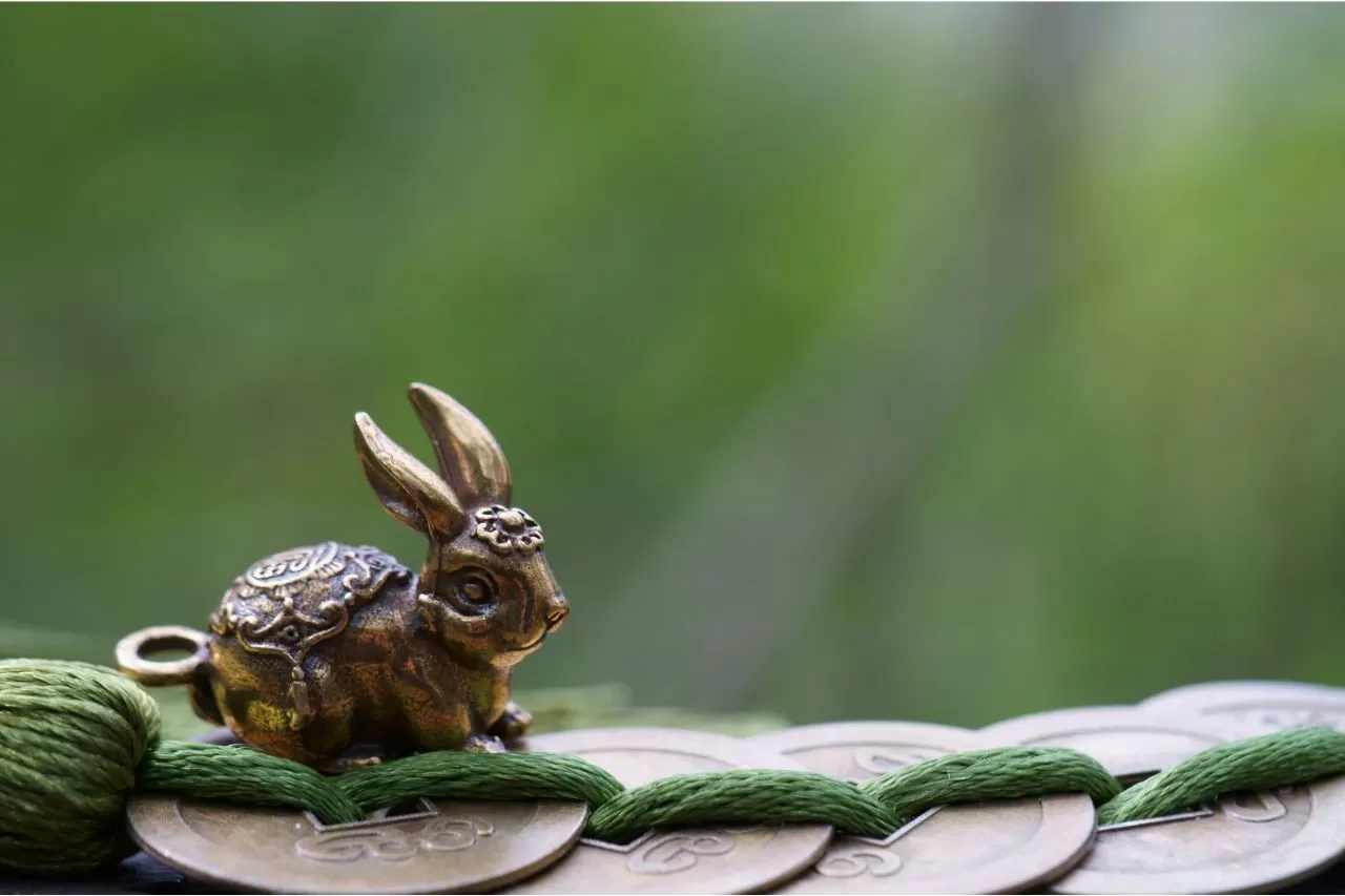 Shio Kelinci Logam: Sifat dan Kualitas Khas yang Dimiliki ( Foto: Canva / Stas Bejsov)
