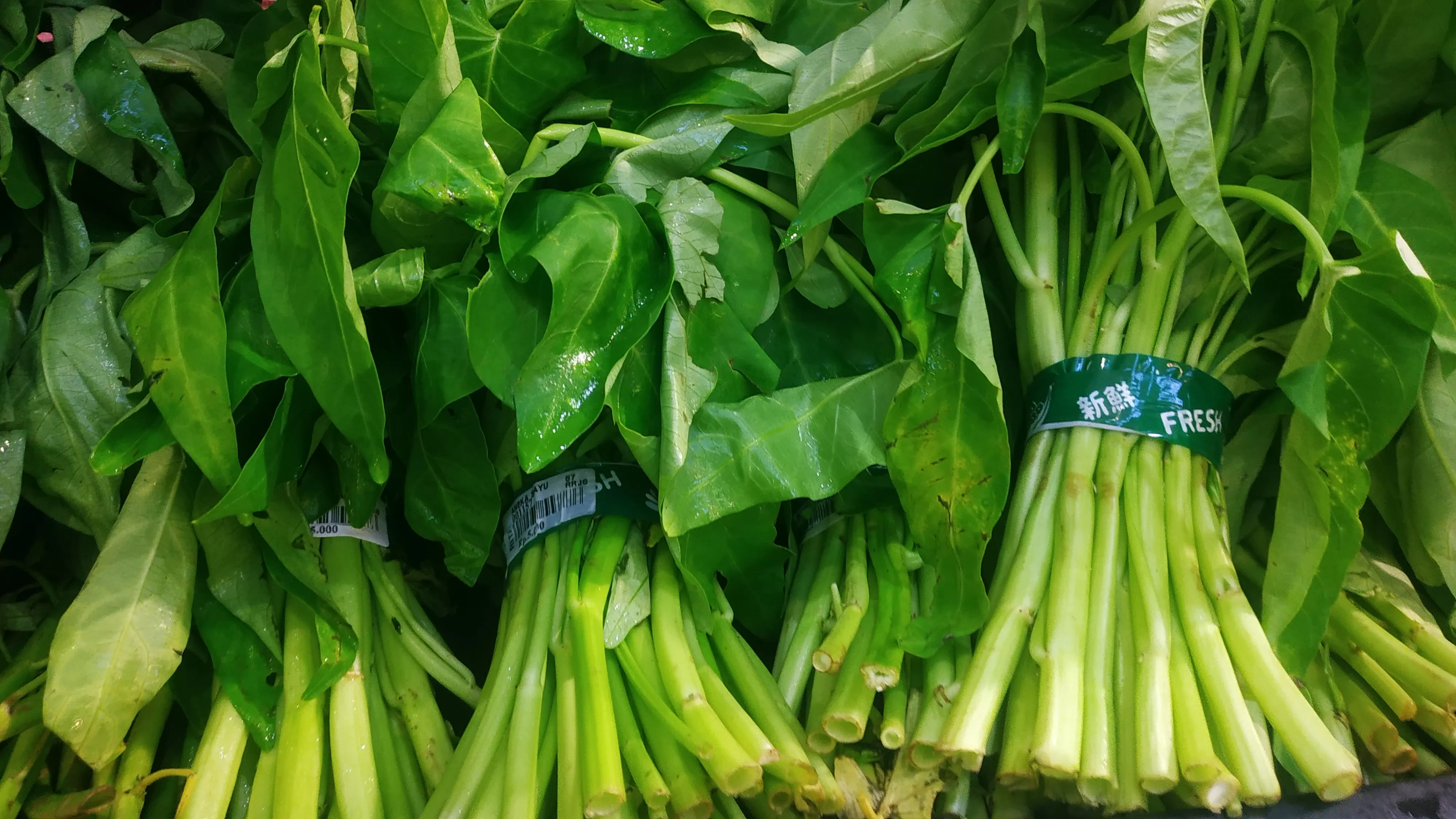 Kandungan Nutrisi pada Kangkung (Unsplash/mufid-majnun)