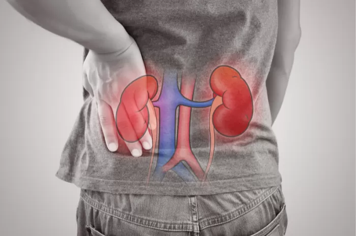 Awas! Hindari 5 Makanan Ini Agar Ginjal Anda Tetap Sehat (Foto: Canva/@Tharakorn)