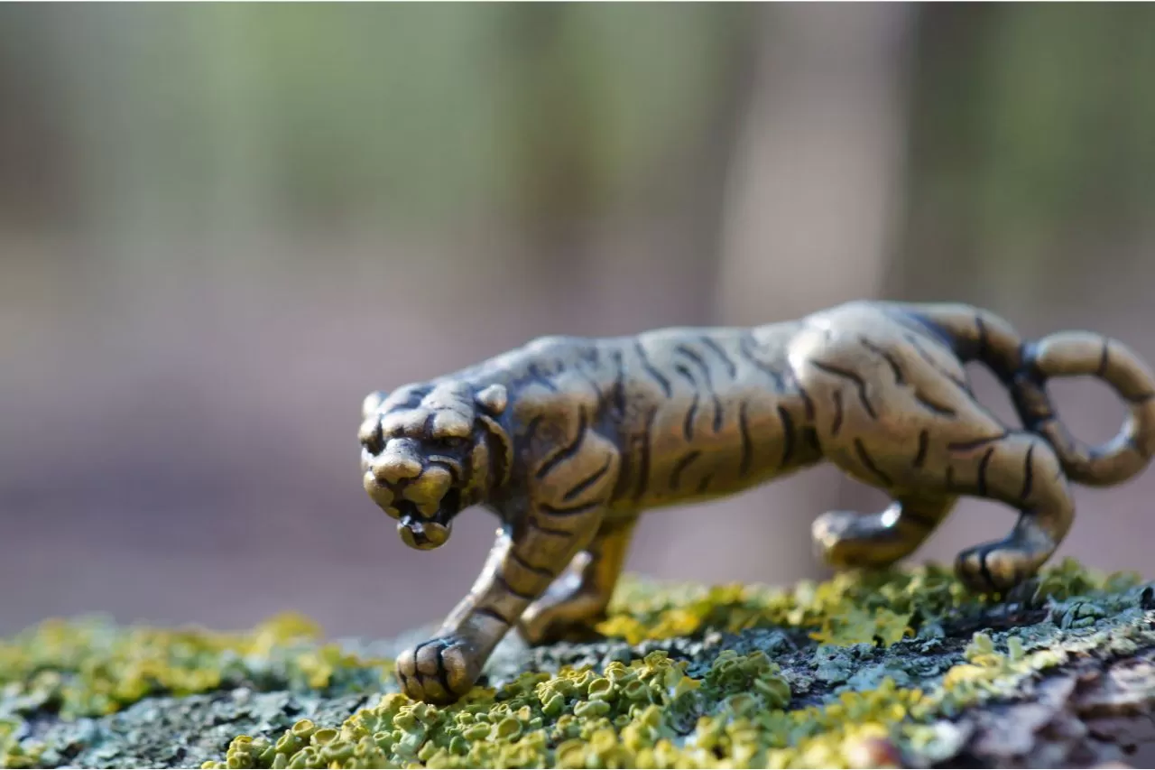 Ramalan Shio Macan Logam Awal September 2023 Kecocokan Pasangan ( Foto: Canva / Stas-Bejsov)