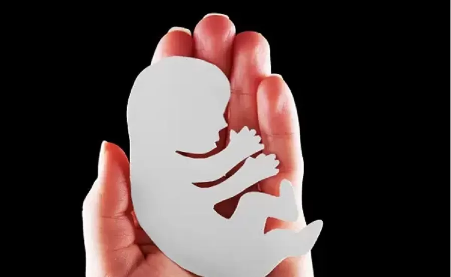 Ilustrasi Aborsi (Dok Freepik)