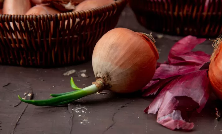 Tanaman yang Berkembang Biak dengan Umbi Lapis (freepik.com/author/stockking)