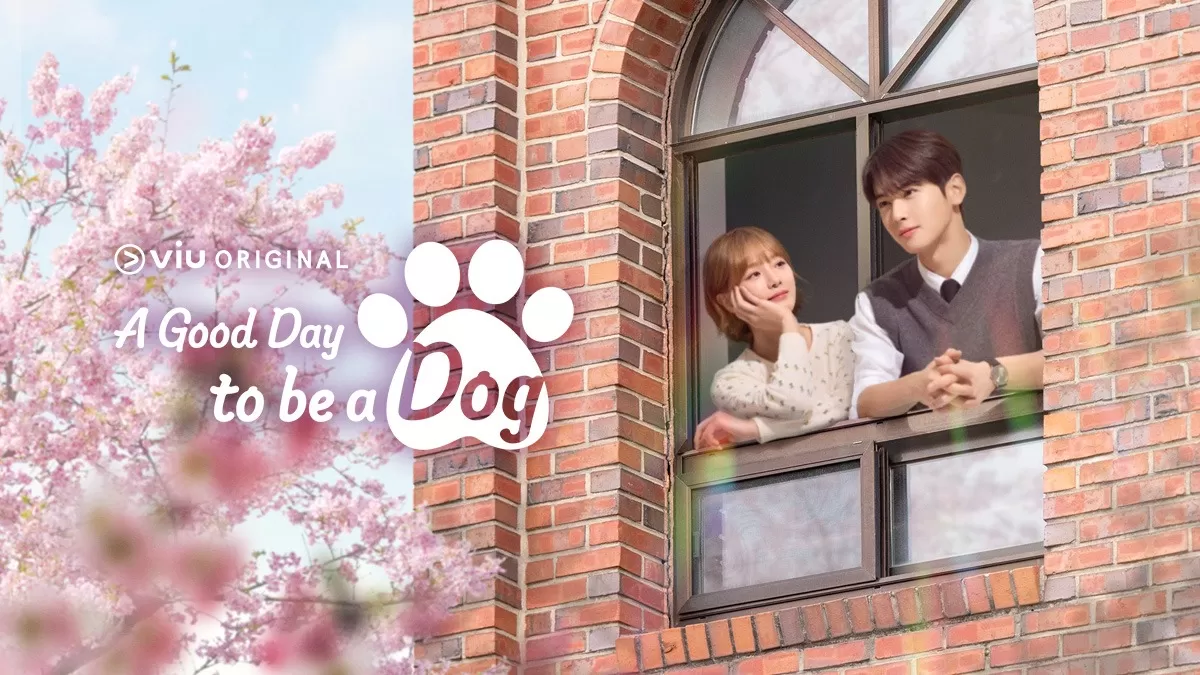 Sinopsis A Good Day To Be A Dog episode 11. (Viu)