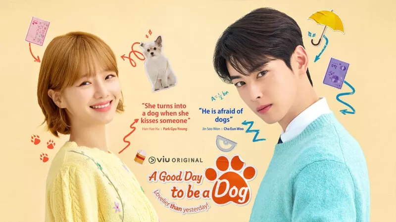  Sinopsis A Good Day To Be A Dog episode 12. (Viu)