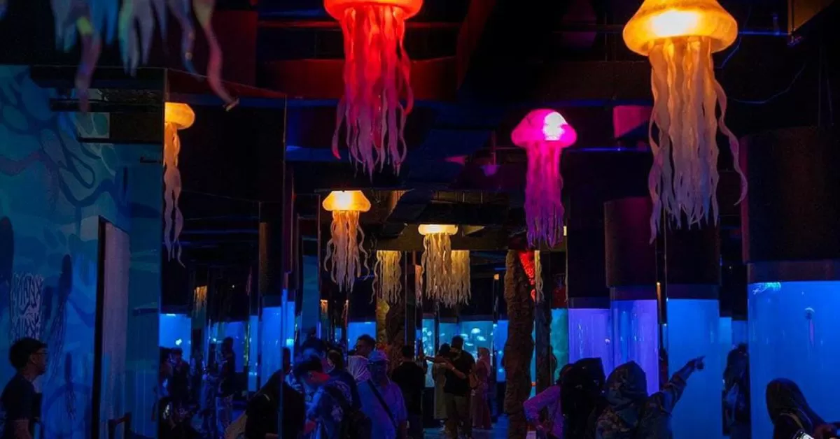 BXSEA Bintaro, Destinasi Wisata Baru (Tangkapan Layar Instagram @bxsea_official)