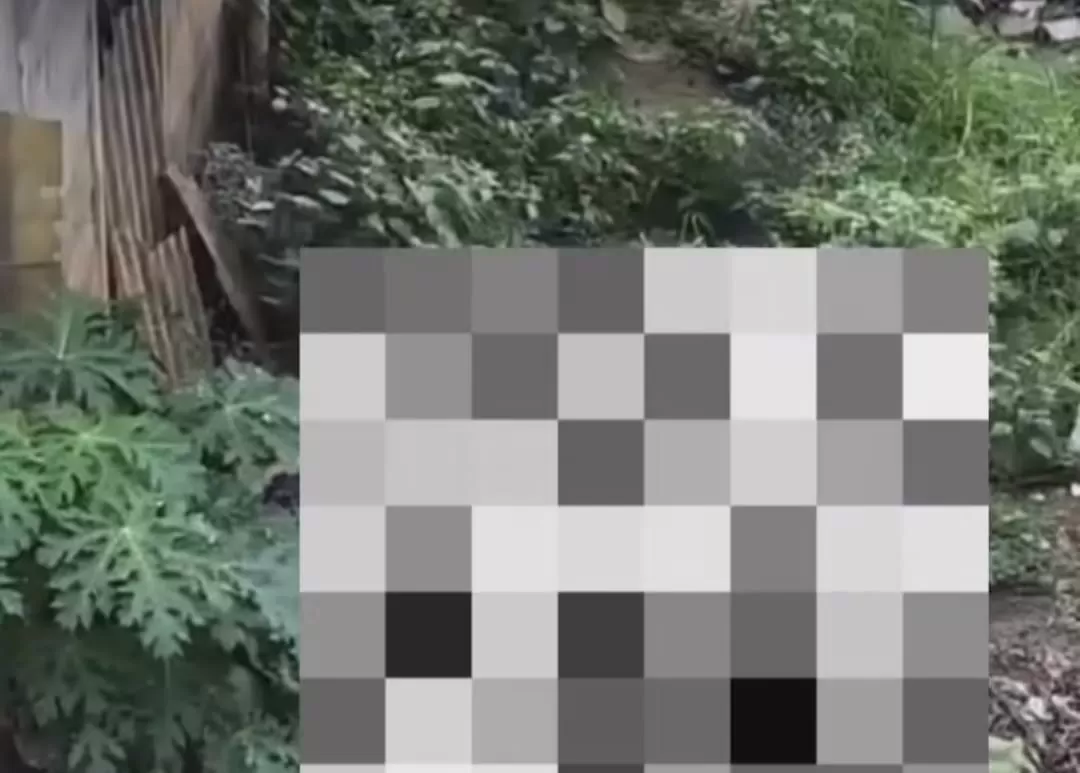 Remaja di Jaktim diduga setubuhi anak TK di pinggir kali (tangkapan layar)