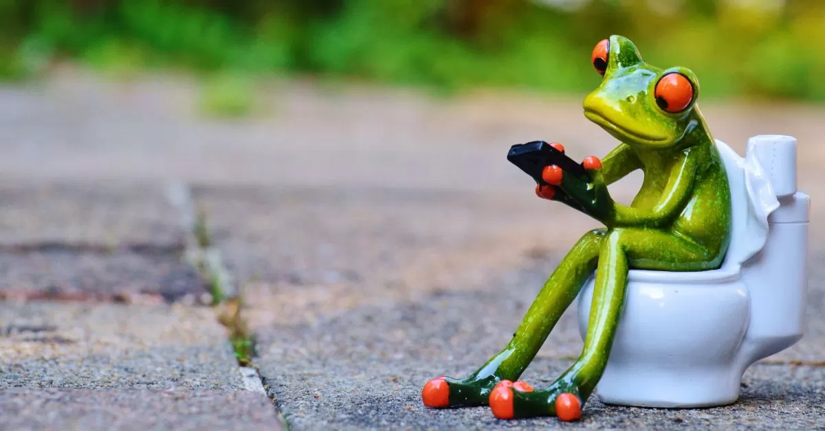 3 Tips Mengatasi Kloset Mampet Tanpa Membongkar (canva by Alexas Fotos)