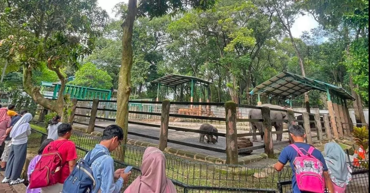 4 Rekomendasi Wisata Populer dan Hits Di Jaksel (tangkapan layar instagram @ragunanzoo)