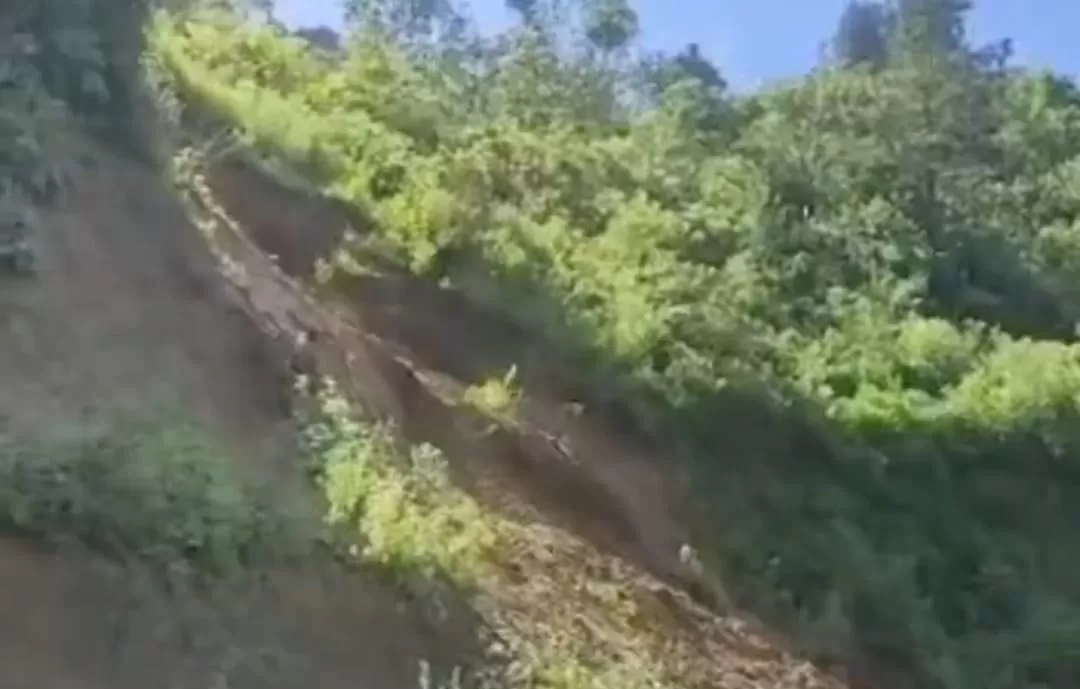 Video detik-detik tanah longsor di Bastem Utara, Kabupaten Luwu, Sulsel (tangkapan layar)