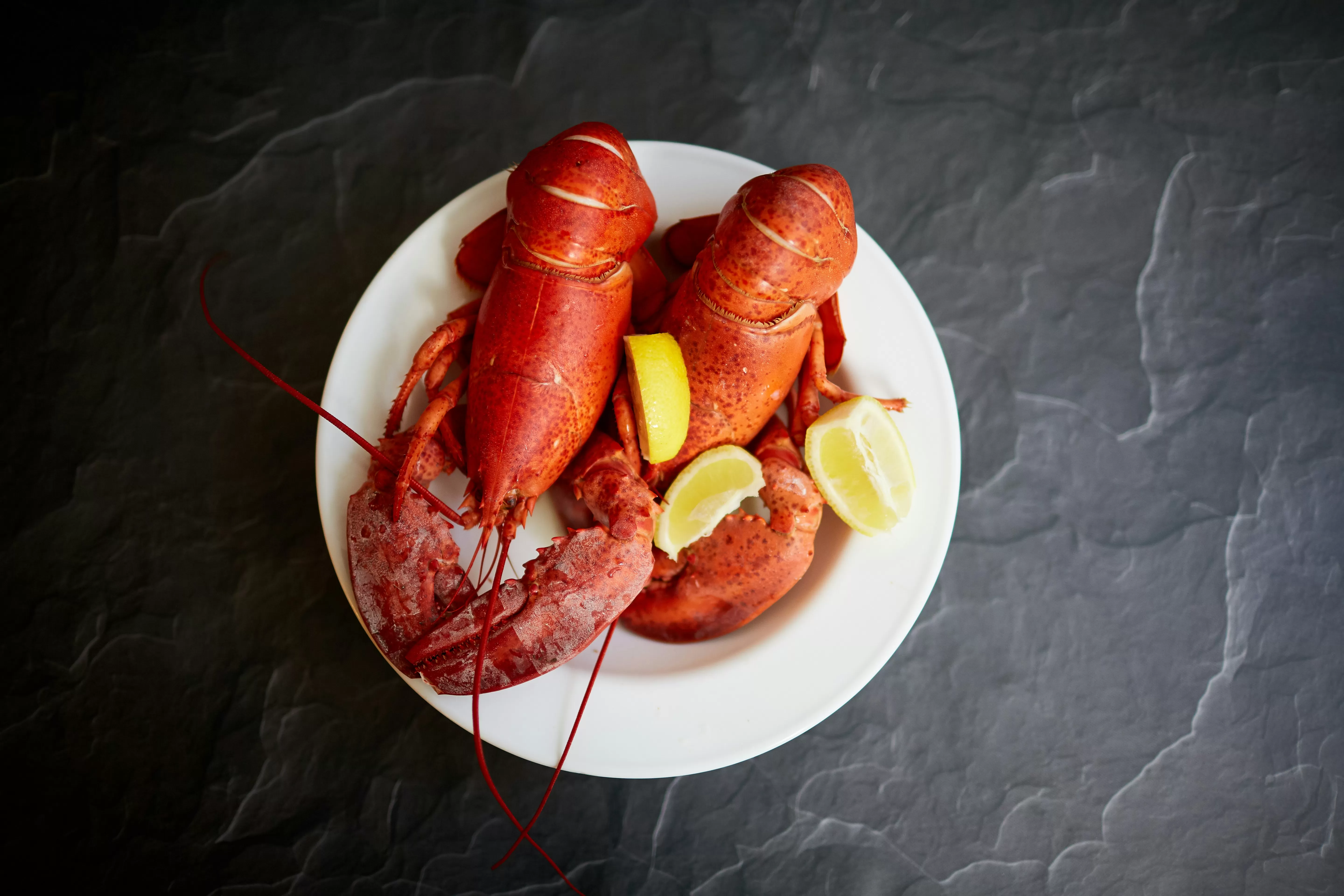Lobster menjadi salah satu makanan yang tabu saat imlek (Unsplash/david-todd-mccarty)