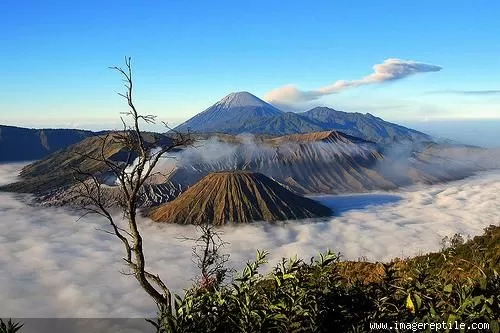Penutupan Total Kawasan Gunung Bromo selama Hari Raya Nyepi (Sumber: Pinterest/Joe Matruty)