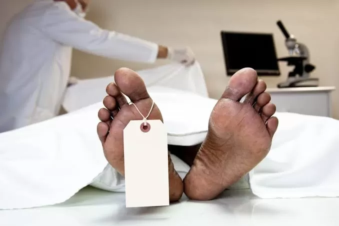 Penemuan mayat pria tak beridentitas di Kali Ciliwung (Dok honestdocs.id)