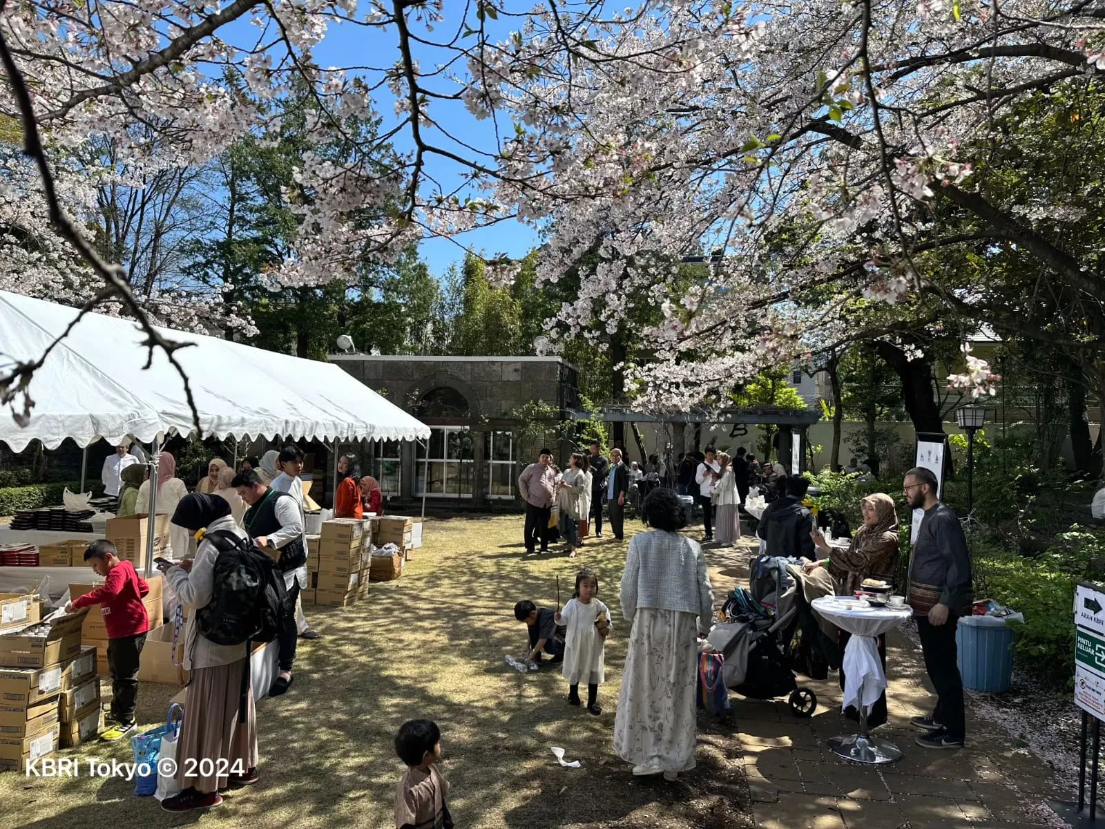 Muslim Indonesia di Jepang yang merayakan Idul Fitri 1445 Hijriah seiring mekarnya bunga Sakura Kota Tokyo. (Foto: KBRI Tokyo)