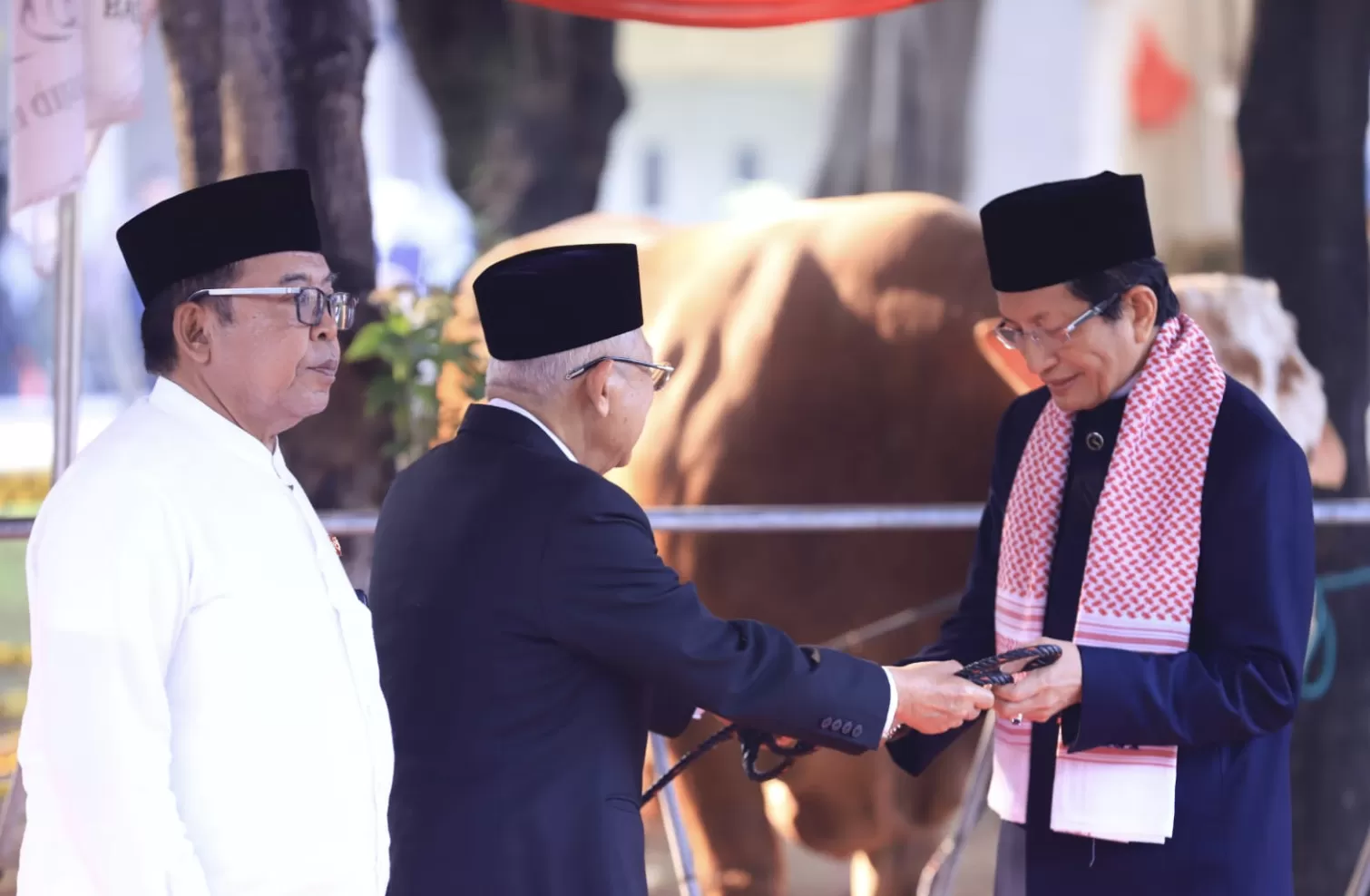 Wapres KH. Ma’ruf Amin menyerahkan hewan kurban untuk Masjid Istiqlal. (Dok: Kemenag).