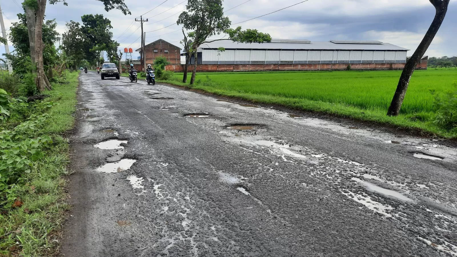 Jalan berlubang di wilayah Karanganyar (foto:Abdul Alim)