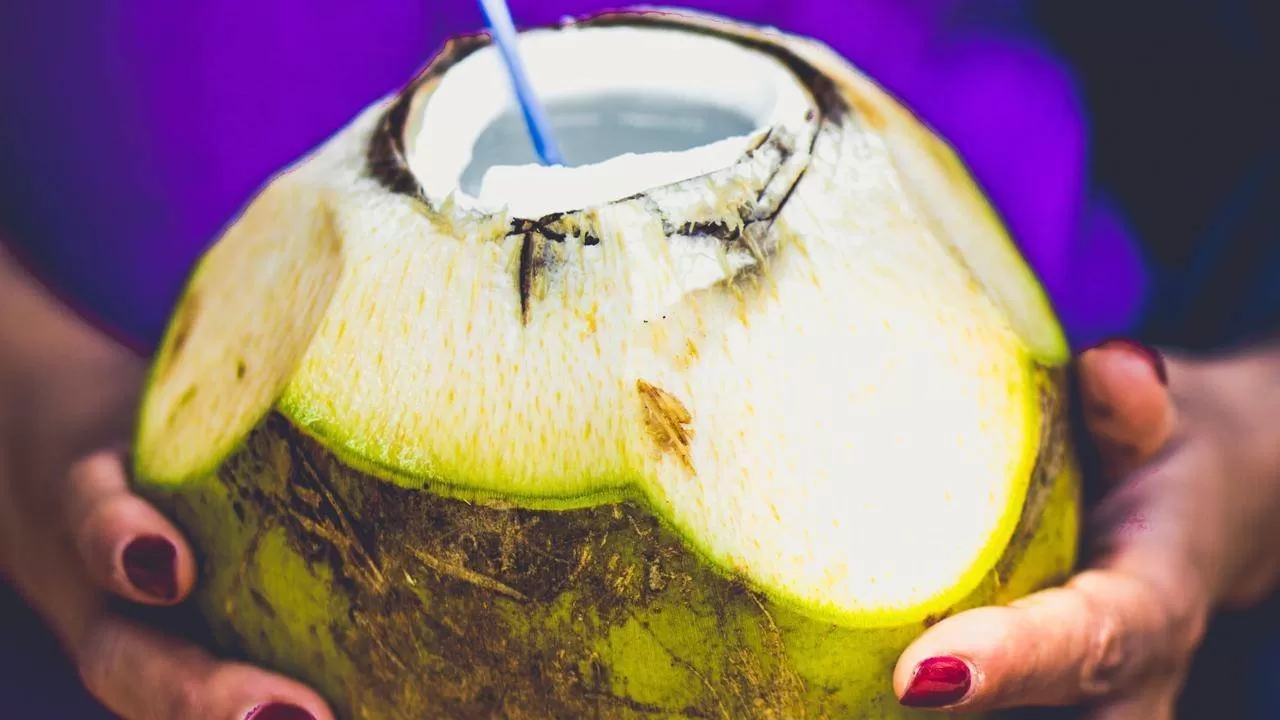 Air kelapa muda banyak manfaatnya  (dok)