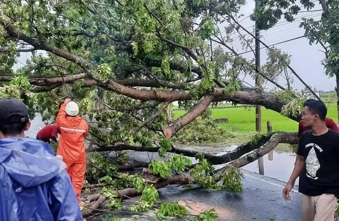 Berikut Sebaran Kerusakan Dampak Hujan Deras Dan Angin Kencang Di Sleman Krjogja