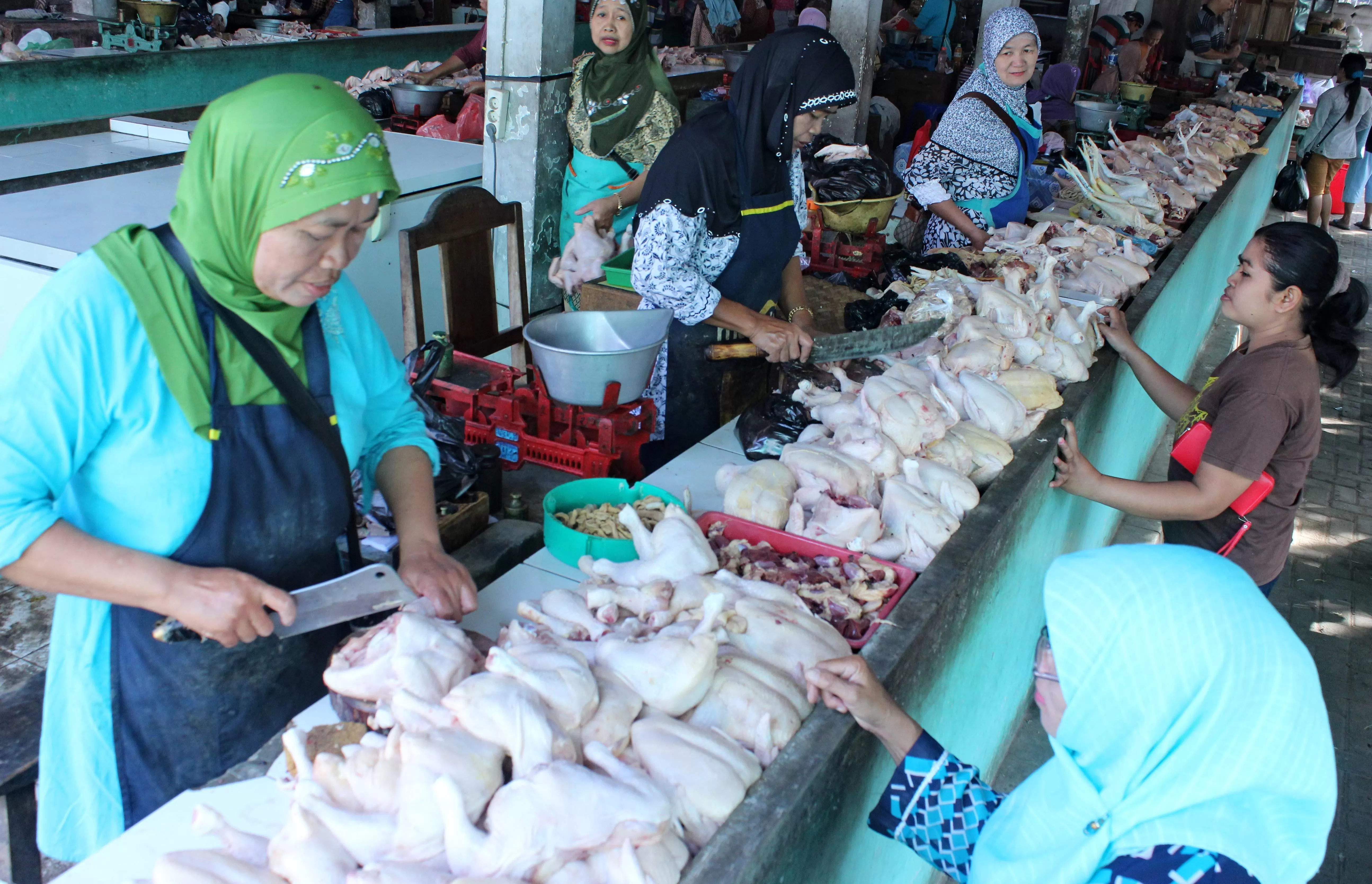 Harga Daging Dan Telur Ayam Mulai Naik Krjogja