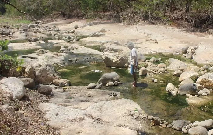Kondisi sungai yang mengering akibat kemarau panjang.